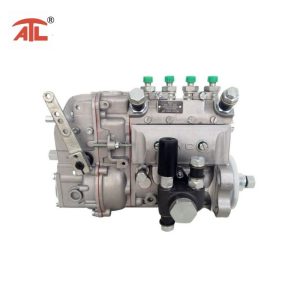 BYC Injection Pump 10 400 873 002 10400873002 CPES3A80D410RS2176  FOR 2232387KY DEUTZ F3L912 Engine